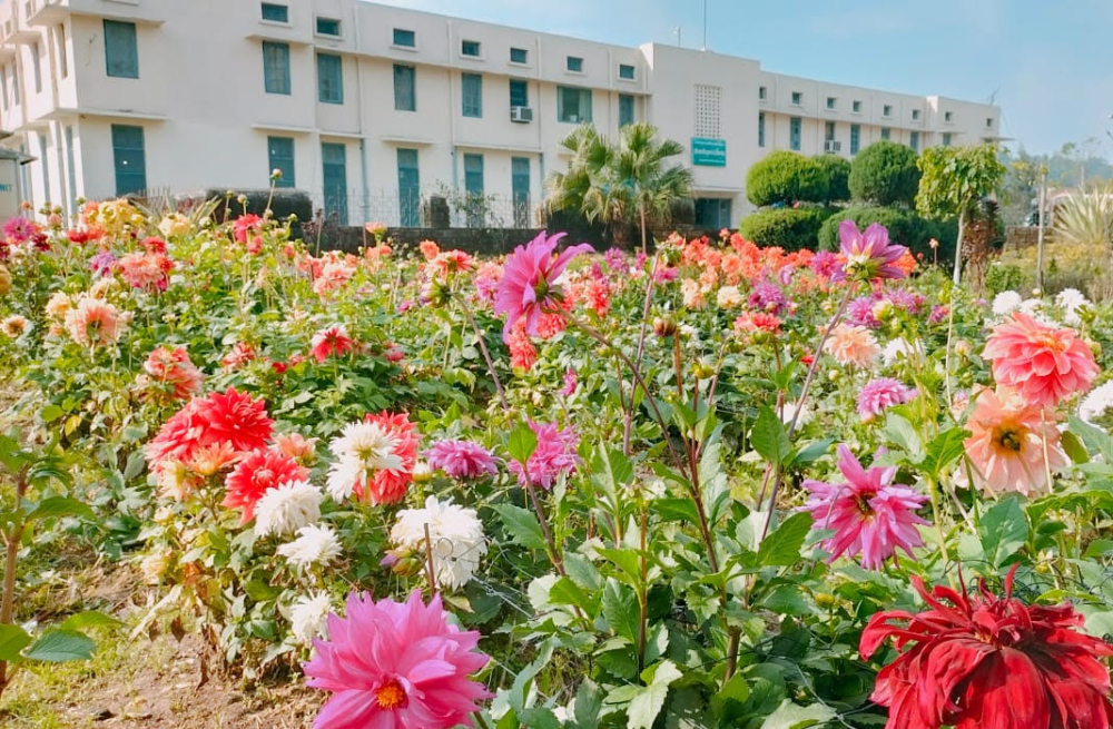 RHR & TS Dhaulakuan Station