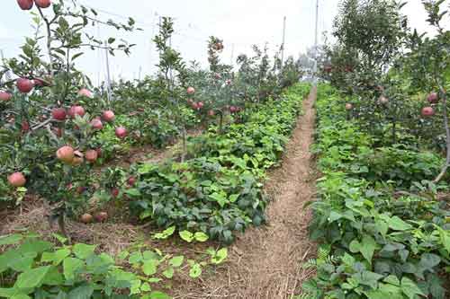 Learn more about our research programs